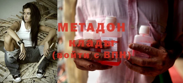 прущие грибы Дмитровск