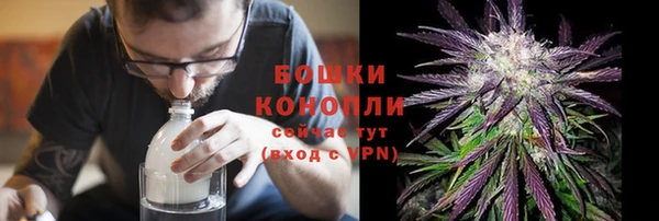 трава Новодвинск