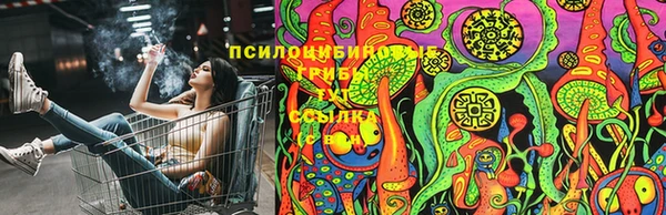 марки lsd Новозыбков