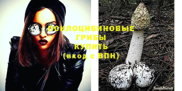 герыч Новокубанск