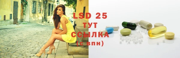 марки lsd Новозыбков