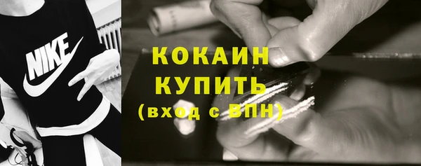 трава Новодвинск