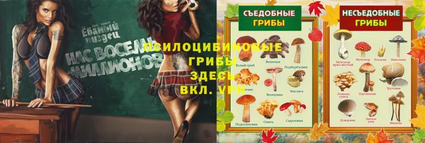 герыч Новокубанск
