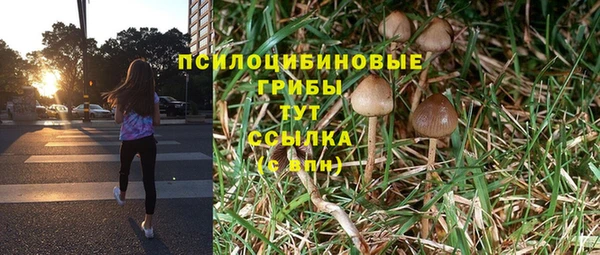 гашиш Дмитров